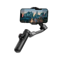 New York gimbal green lion