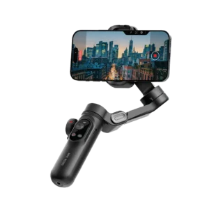 New York gimbal green lion